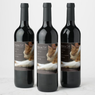 Etiqueta Para Botella De Vino Gato durmiendo en el sofá