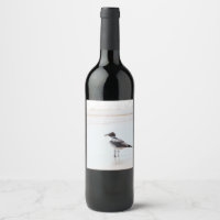 Gaviota en el Clásico de la Playa