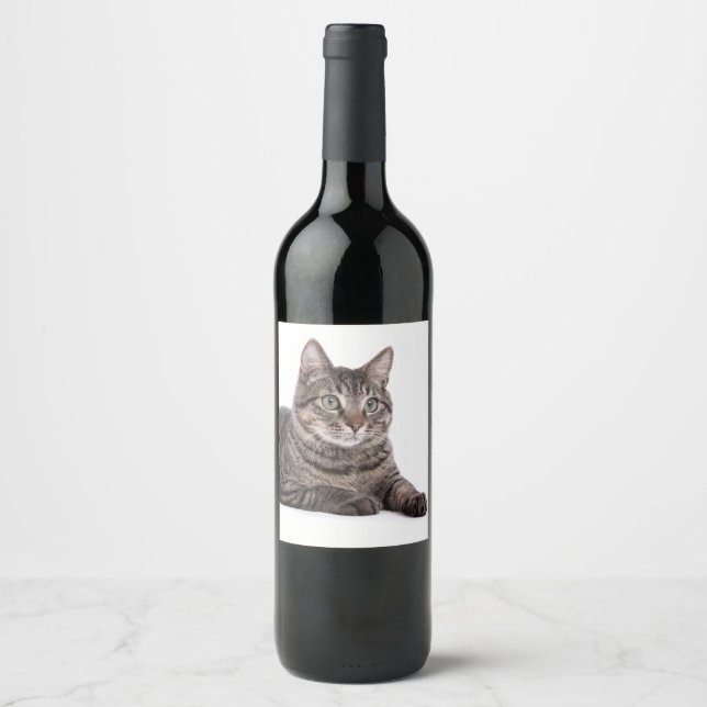Etiqueta Para Botella De Vino Gray Tabby Cat (Anverso)