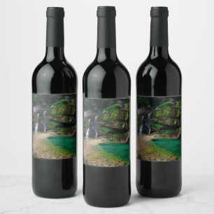 Etiqueta Para Botella De Vino Impresionante cascada Virje, Poster de Eslovenia