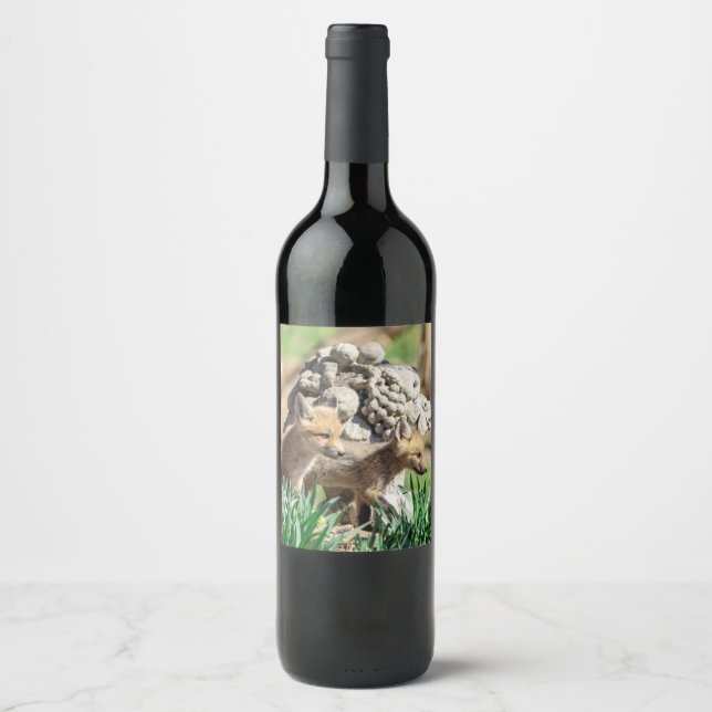 Etiqueta Para Botella De Vino Kits de Fox en el Valle de Hudson (Anverso)