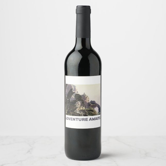 Etiqueta Para Botella De Vino La aventura espera. Paisaje de fantasía (Anverso)