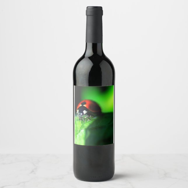 Etiqueta Para Botella De Vino Ladybug (Anverso)