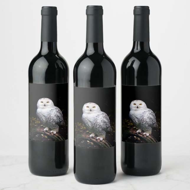 Etiqueta Para Botella De Vino Majestuoso búho de invierno (Botellas)