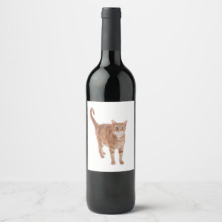 Etiqueta Para Botella De Vino Naranja Tabby Cat