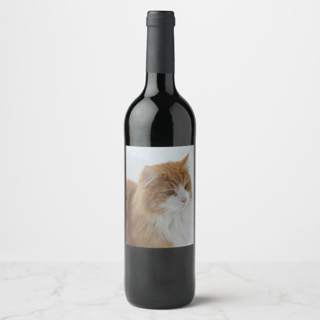 Etiqueta Para Botella De Vino Noruega_Forest_Cat (Anverso)