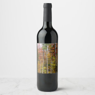 Etiqueta Para Botella De Vino Otoño en el bosque Fotografía de otoño colorido