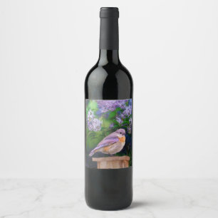 Etiqueta Para Botella De Vino Pájaro azul oriental en nieve - Fotografía origina