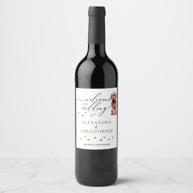 Etiqueta Para Botella De Vino Perro marrón Cavapoo Lindo boda (Anverso)