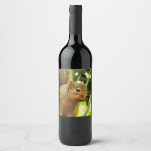 Etiqueta Para Botella De Vino Retrato de una ardilla Fotografía de animales de l