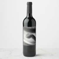 Serpiente negra y blanca