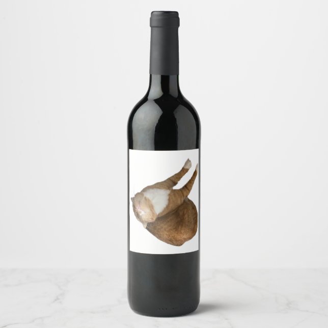 Etiqueta Para Botella De Vino Upside-Down Sunshine (Anverso)