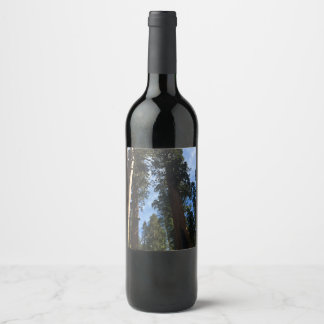 Etiqueta Para Botella De Vino Vista de cielo de la secuencia gigante