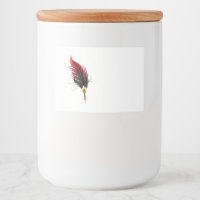 Bolígrafo pluma roja con plumilla dorada