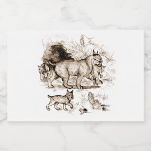 Etiqueta Para Comida Familia Bobcat