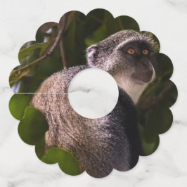 Etiqueta Para Copas De Vino Mono azul, Zanzíbar