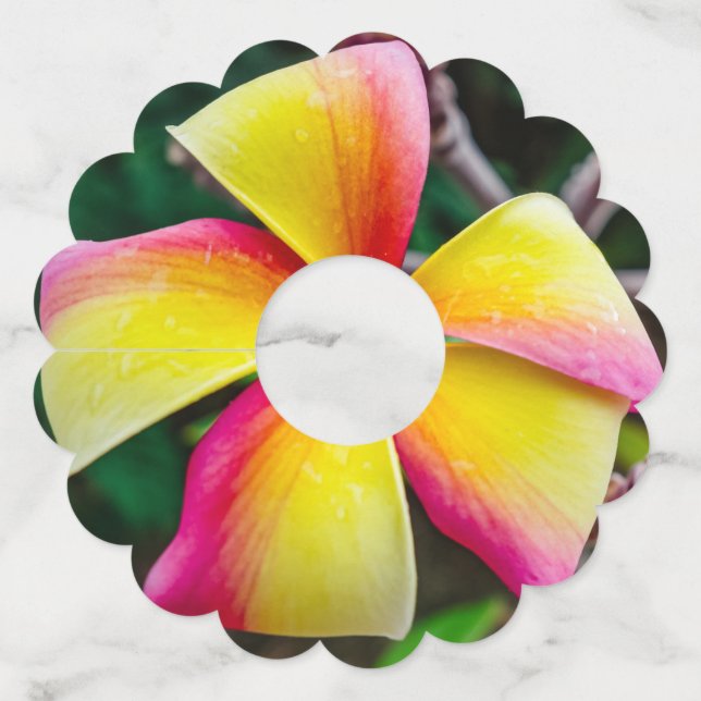 Etiqueta Para Copas De Vino Plumeria rubra (Reverso)