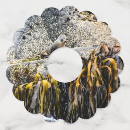 Etiqueta Para Copas De Vino Sello De Piel Joven En La Roca