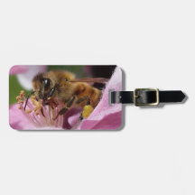 Abeja de la miel en el flor de Crabapple su nombre