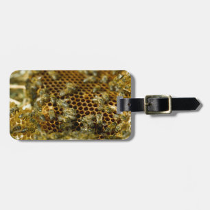 Etiqueta Para Maletas Abejas en colmena, Cabo Occidental, Sudáfrica