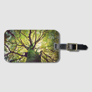Etiqueta Para Maletas Abrazo del árbol