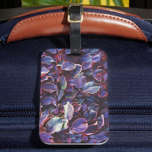 Etiqueta Para Maletas Acalypha Wilkesiana (Anverso In situ 2)