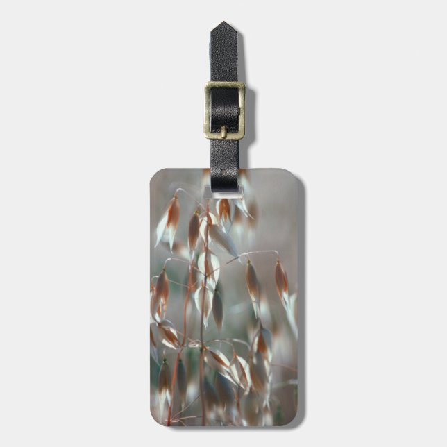 Etiqueta Para Maletas Acejas maduras (Avena Sativa) Cerca. Cáceres, Bola (Frente Vertical)