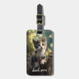 Etiqueta Para Maletas Adorable Calico Kitten