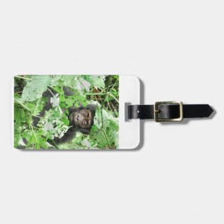 Etiqueta Para Maletas Africa - Gorilla Baby