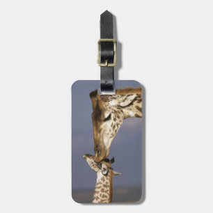 Etiqueta Para Maletas África, Kenia, Masai Mara. Jirafas (Giraffa
