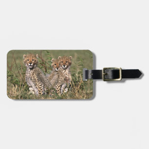 Etiqueta Para Maletas África; Kenia; Masai Mara; Tres cachorros de guepa