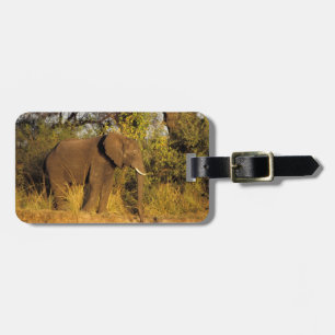 Etiqueta Para Maletas África, Zimbabue, Parque Nacional de las Cataratas