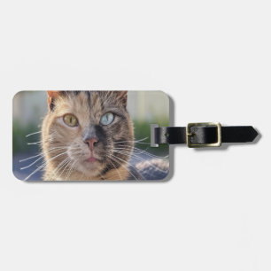 Etiqueta Para Maletas Agregar foto de gato personalizar