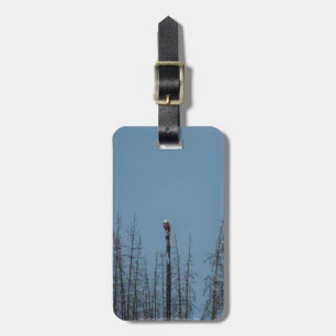 Etiqueta Para Maletas Águila calva americana 8974