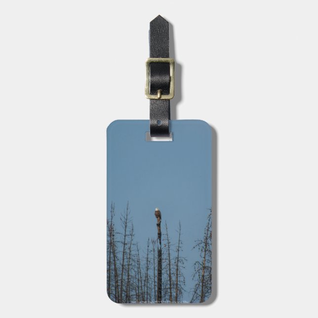 Etiqueta Para Maletas Águila calva americana 8974 (Frente Vertical)