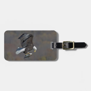 Etiqueta Para Maletas Águila calva mirando fijamente a un pez