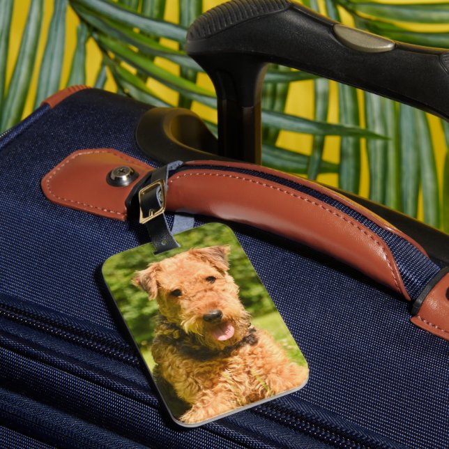 Etiqueta Para Maletas Airedale Terrier Perro Cachorro (Anverso In situ 1)