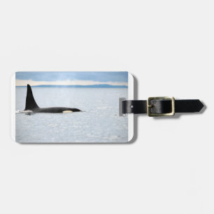 Etiqueta Para Maletas Alaska - Orca
