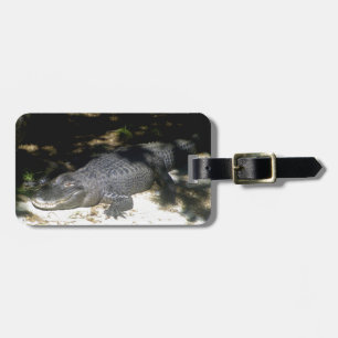 Etiqueta Para Maletas Alligator Sunbathing