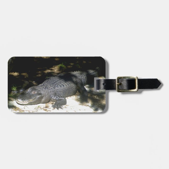 Etiqueta Para Maletas Alligator Sunbathing (Frente Horizontal)