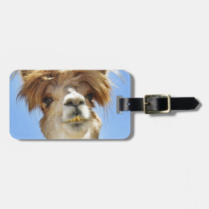 Etiqueta Para Maletas Alpaca loca del pelo
