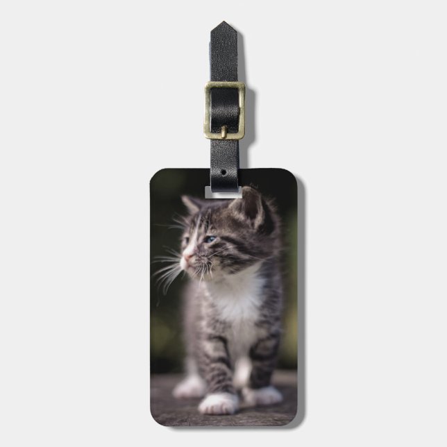 Etiqueta Para Maletas Alto en pie de gatito (Frente Vertical)