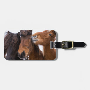Etiqueta Para Maletas Amigos del caballo islandés, Islandia