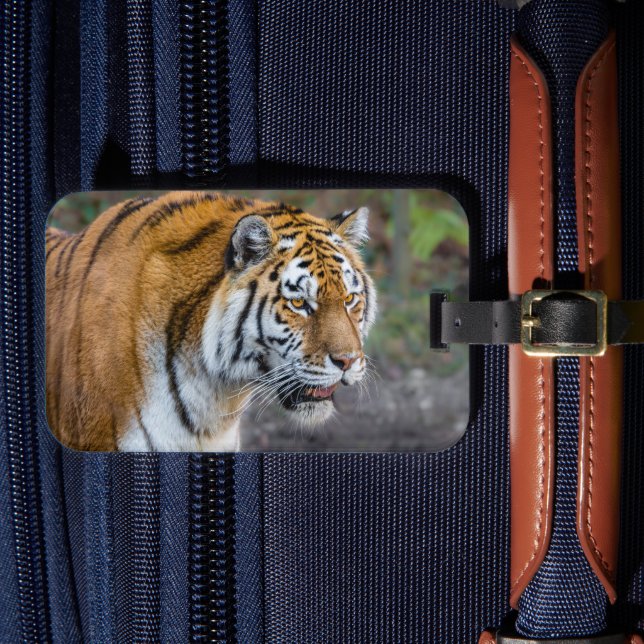 Etiqueta Para Maletas Amur tiger (Anverso In Situ 4)