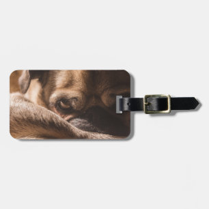 Etiqueta Para Maletas Añadir tu propio viaje de fotos de perro   broma d