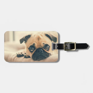 Etiqueta Para Maletas Añadir tu propio viaje de fotos de perro broma d