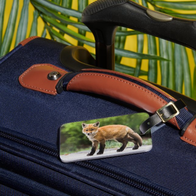 Etiqueta Para Maletas Animales de bebé más afectados | Cutey Fox (Anverso In situ 3)
