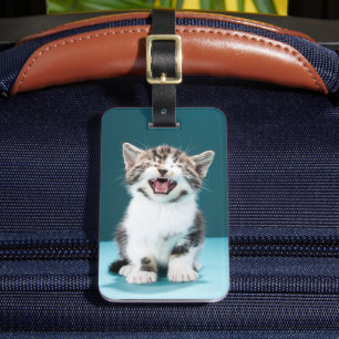 Etiqueta Para Maletas Animales de bebé más afectados   Meowing Baby Kitt