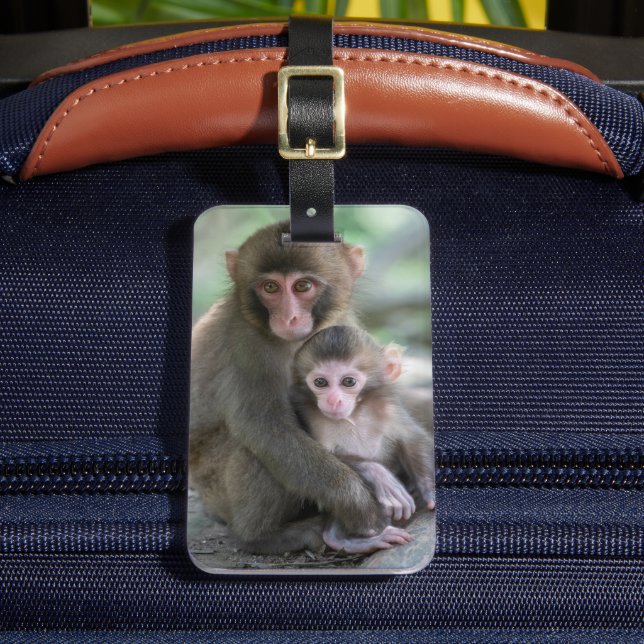 Etiqueta Para Maletas Animales de bebé más afectados | Monos japoneses (Anverso In situ 2)