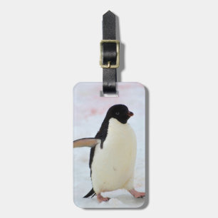 Etiqueta Para Maletas Antártida. Isla Petermann. Pingüino Adelie